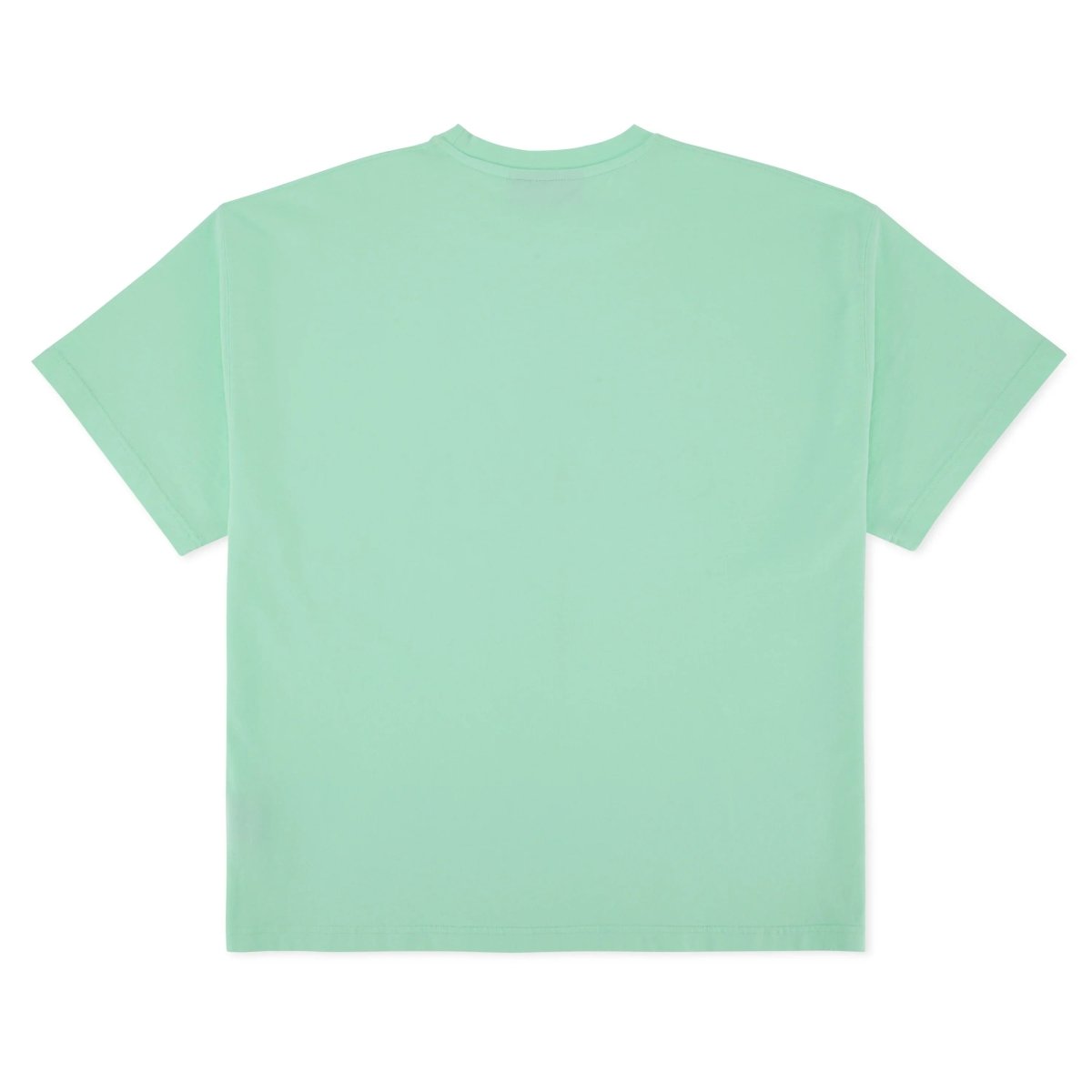 BAD YOUTH T-shirt Mint Green - Bad Company